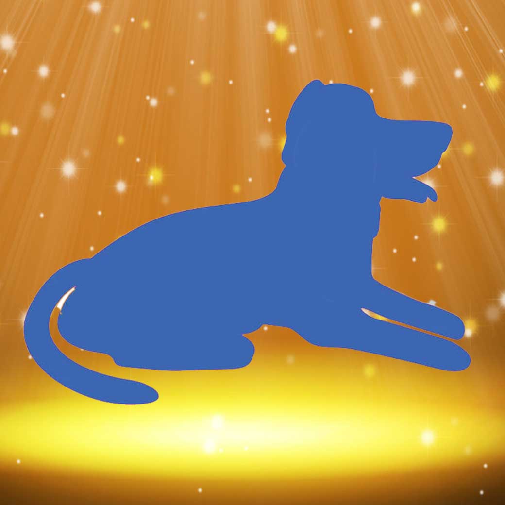 Custom pet bobblehead of pet 2, a personalized and charming gift capturing your beloved pet